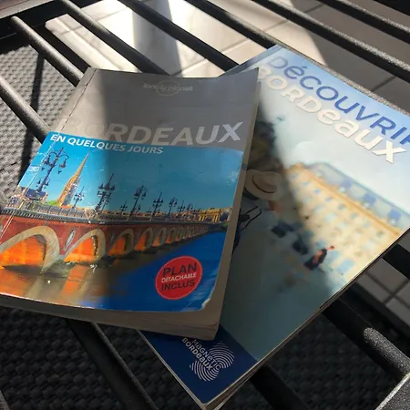 Cocon Confort A 5 Min De Gare Saint-jean Apartment